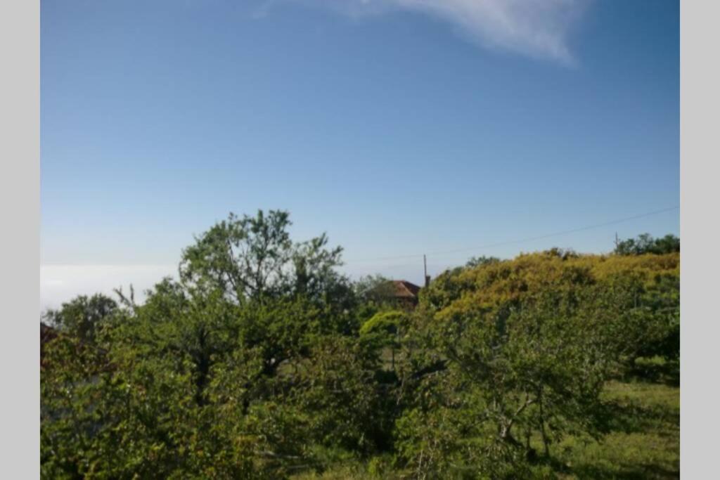 Casa Corea 2 Puntagorda 외부 사진